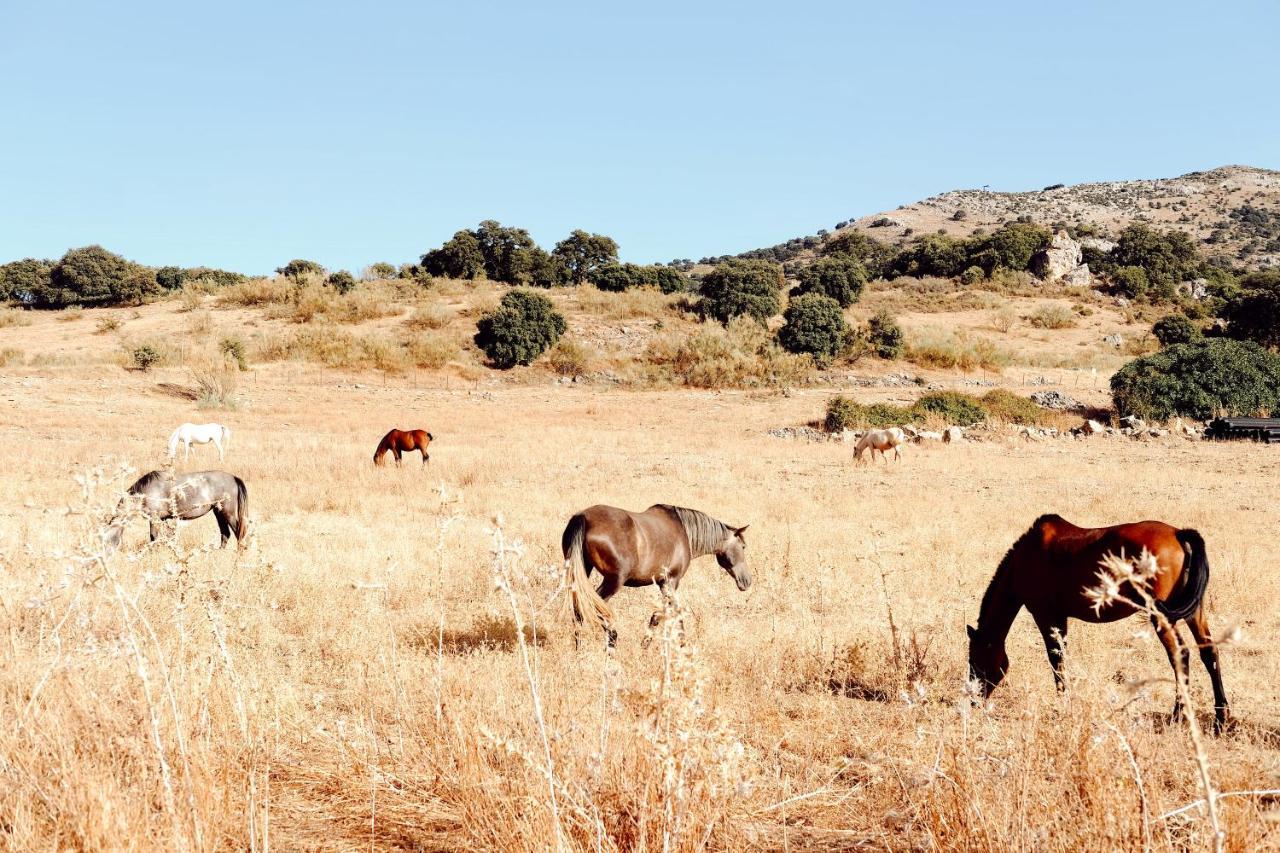 Los Pilares De Ronda Boutique & Hotel Esterno foto